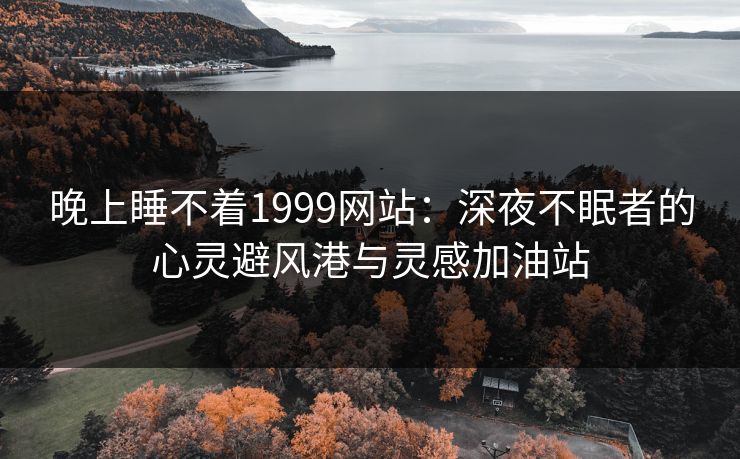 晚上睡不着1999网站：深夜不眠者的心灵避风港与灵感加油站