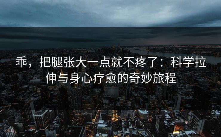 乖，把腿张大一点就不疼了：科学拉伸与身心疗愈的奇妙旅程