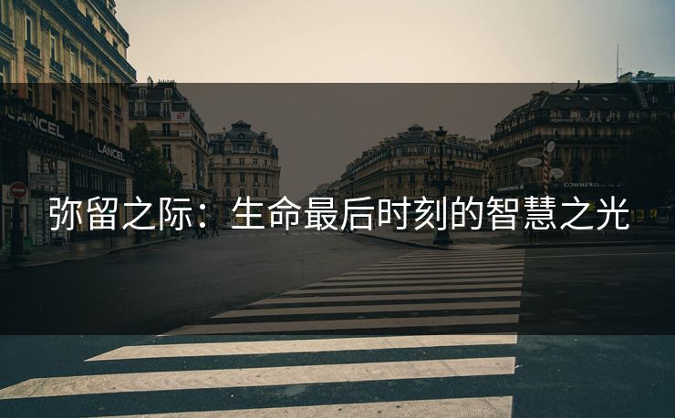 弥留之际：生命最后时刻的智慧之光