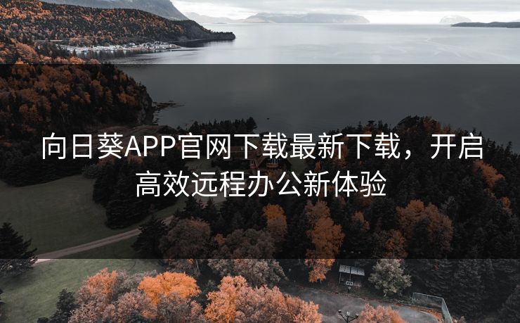 向日葵APP官网下载最新下载，开启高效远程办公新体验