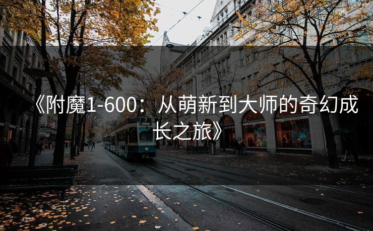 《附魔1-600：从萌新到大师的奇幻成长之旅》