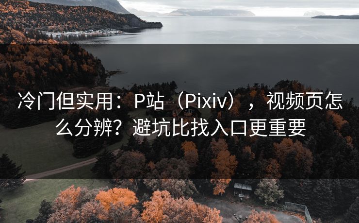 冷门但实用:P站(Pixiv),视频页怎么分辨?避坑比找入口更重要