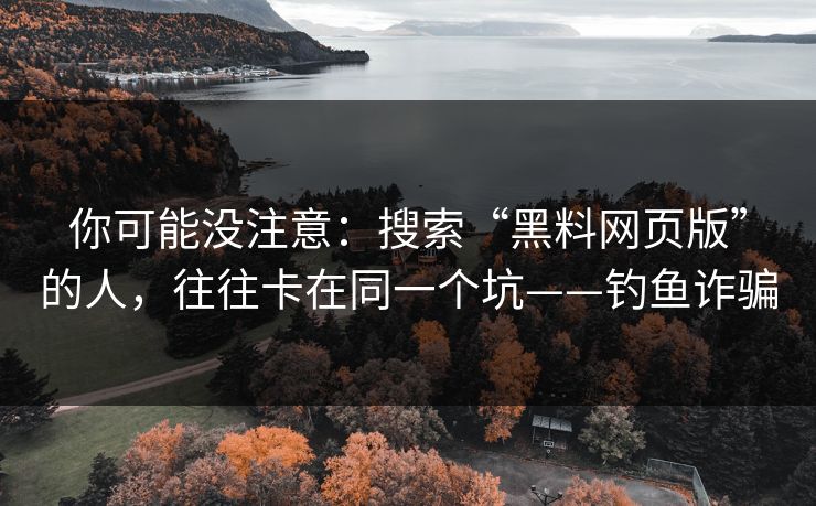 你可能没注意：搜索“黑料网页版”的人，往往卡在同一个坑——钓鱼诈骗